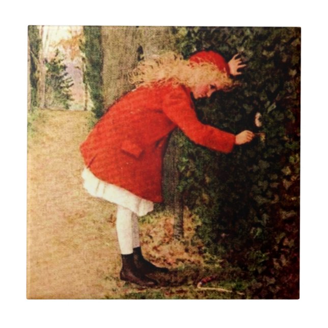 O jardim secreto (Frente)