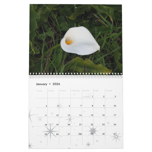 O jardim sonha o calendário 2011 (Jan 2026)