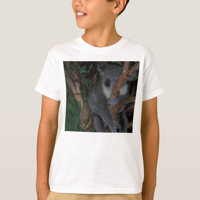 O Koala caçoa a camisa (Frente)
