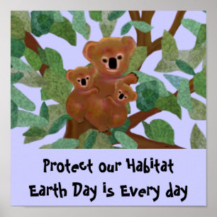 O Koala protege nosso poster do habitat