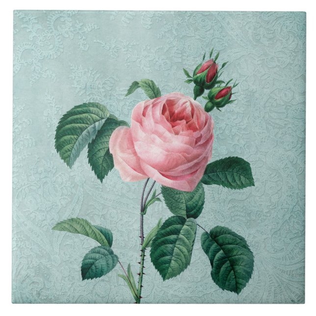 O laço romântico aumentou (Frente)