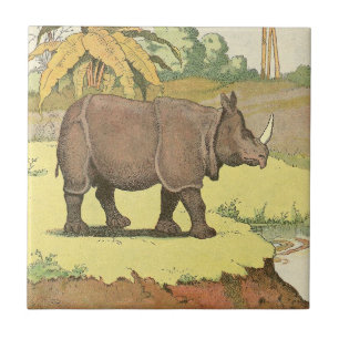 O Livro do Rinoceronte