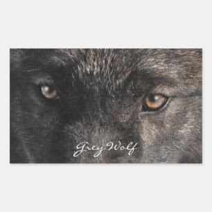 O LOBO CINZENTO EYES etiquetas do suporte dos