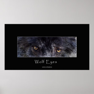 O lobo preto Eyes o poster dos animais selvagens