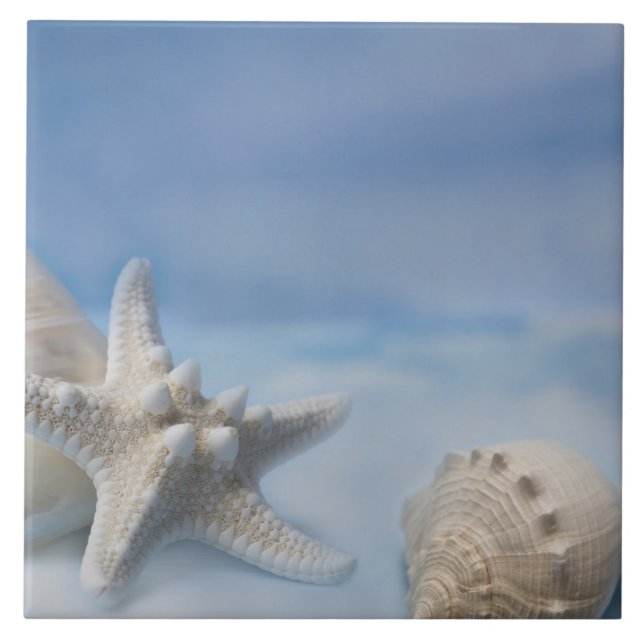 O mar descasca a aguarela azul pintado mão dos (Frente)