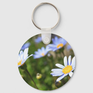 O Marguerite azul floresce o chaveiro
