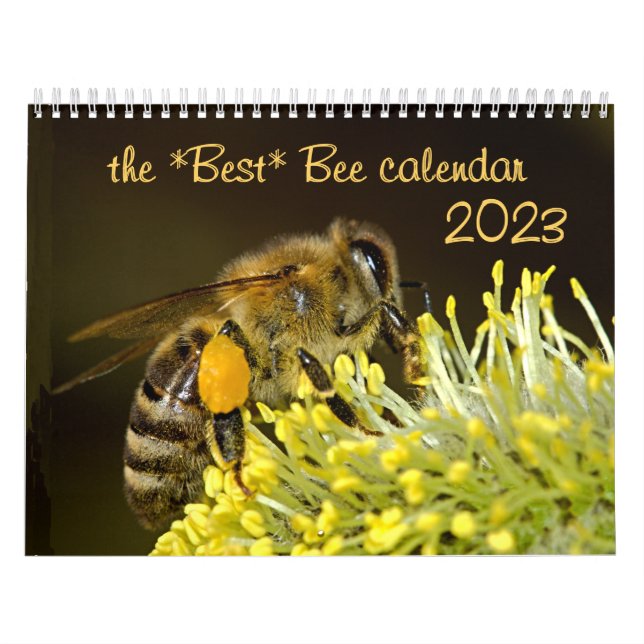 O Melhor Calendário de Bee 2023 com Fotografias e  (Capa)