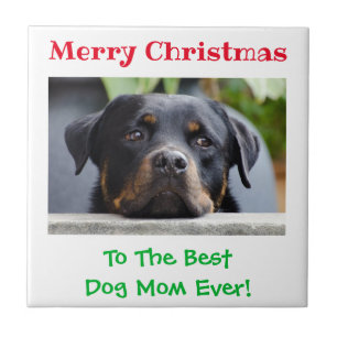 O Melhor Cão De Natal Mãe Já Pôs Foto