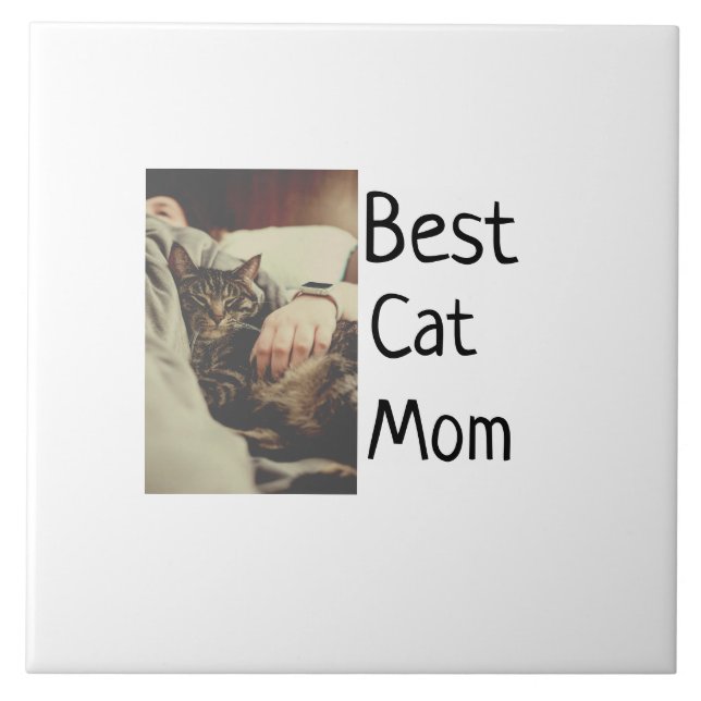 O melhor pai da mãe de gatos a adicionar o nome da (Frente)