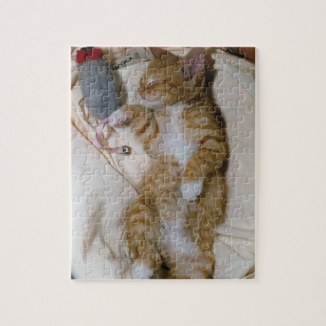 O melhor quebra-cabeça do gatinho: Mágica de (Vertical)