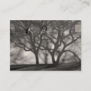 O metropolita sombreia o cartão do ATC