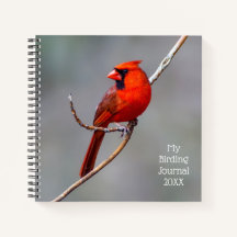 O meu notebook cardeal espiral do Diário de aves