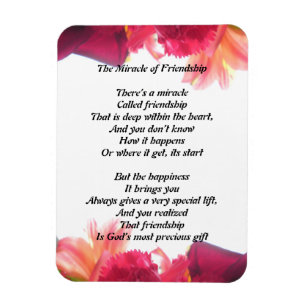 O milagre do ímã da amizade