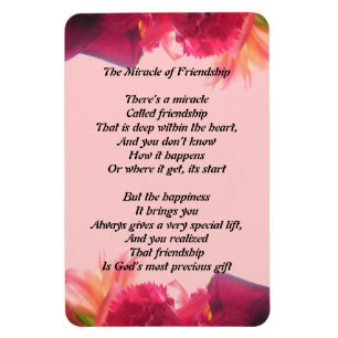 O milagre do ímã da amizade