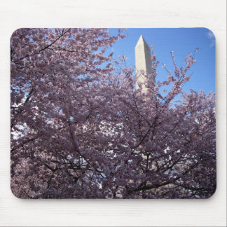 O monumento de Washington Mousepad