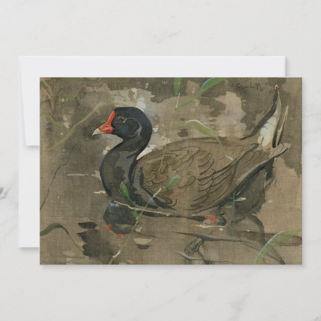 O Moorhen | Joseph Crawhall (Frente)