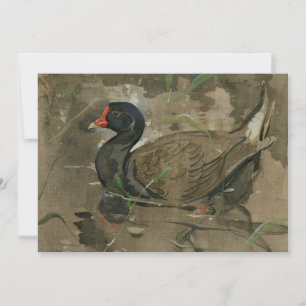 O Moorhen   Joseph Crawhall