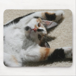 O Mousepad da esperança