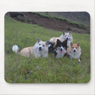 O mousepad do amante do cão, personaliza