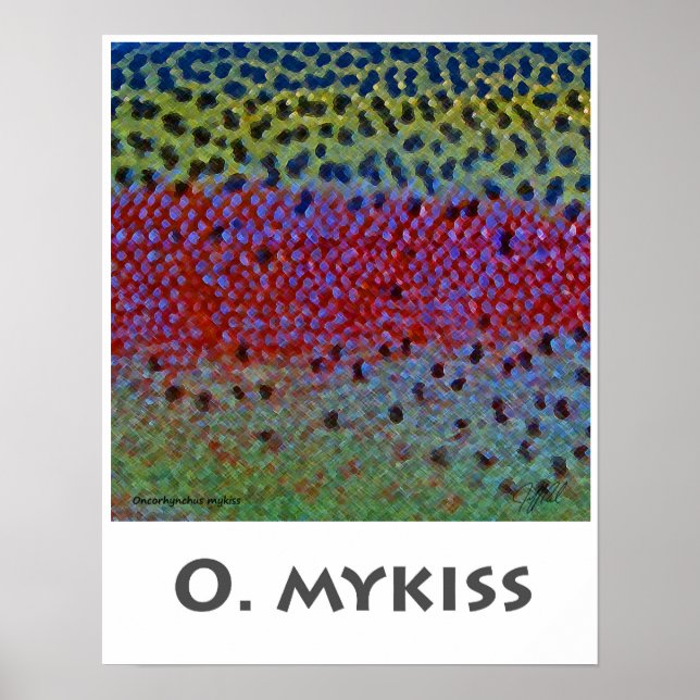 O Mykiss - Poster (Frente)