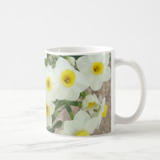 O narciso branco floresce a caneca