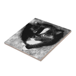 O Observador Silencioso