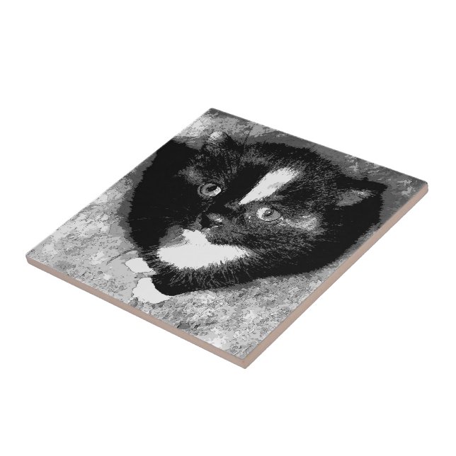 O Observador Silencioso (Lateral)