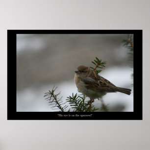 "O olho dele está no Sparrow! poster