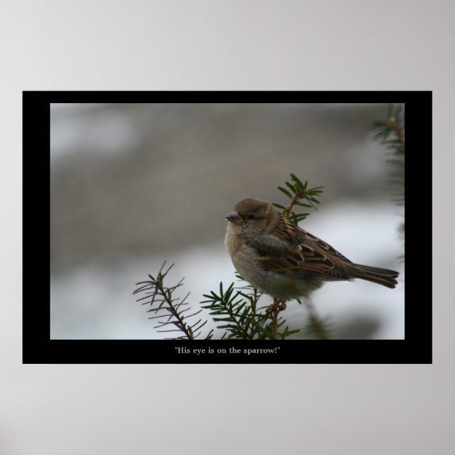 "O olho dele está no Sparrow! poster (Frente)