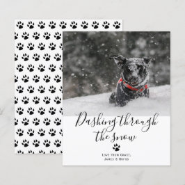 O ORÇAMENTO Passa Pelo Natal Do Cão De Neve