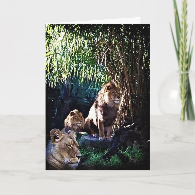 O Orgulho, cartão de saudação (Frente)