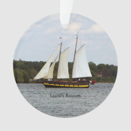 O ornamento acrílico Ransom de Liana