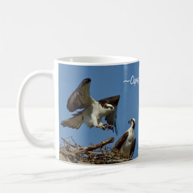 O Osprey Hawks a caneca do ninho do vôo (Esquerda)