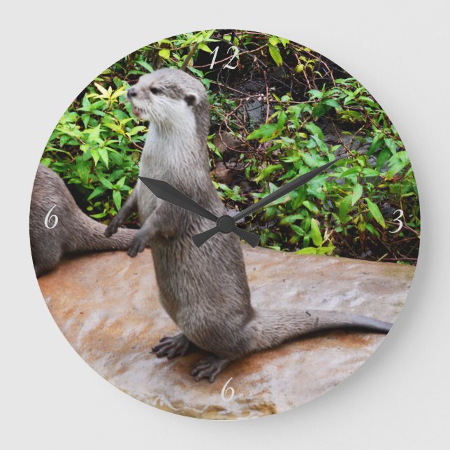 O Otter Está A Falar De Um Relógio De Muro Grande. (Frente)