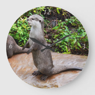 O Otter Está Falando De Um Grande Relógio De Par
