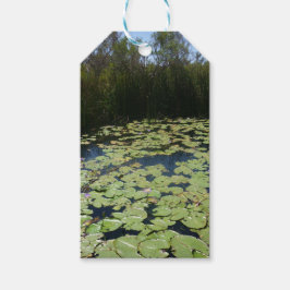 O Outback Lily Pads Etiquetas de presentes