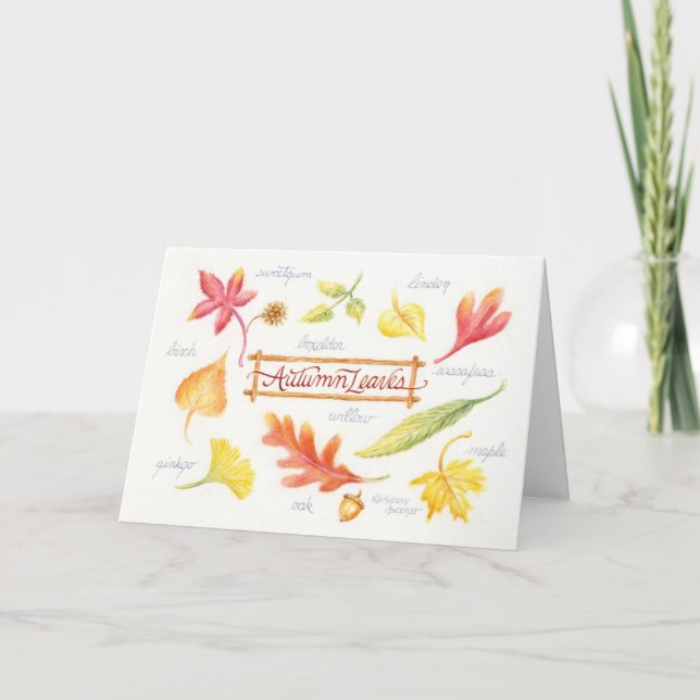 O outono de Ação de Graças deixa um cartão de saud (Frente)