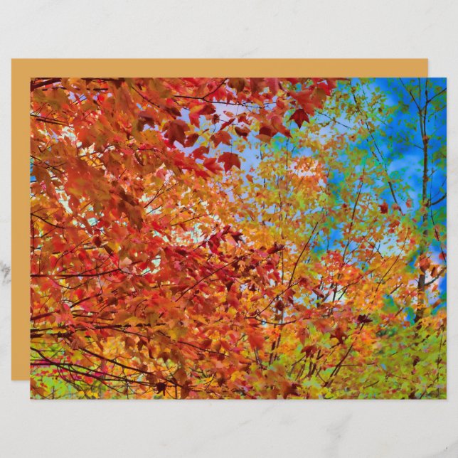 O outono deixa a cor laranja cair no céu azul (Frente/Verso)