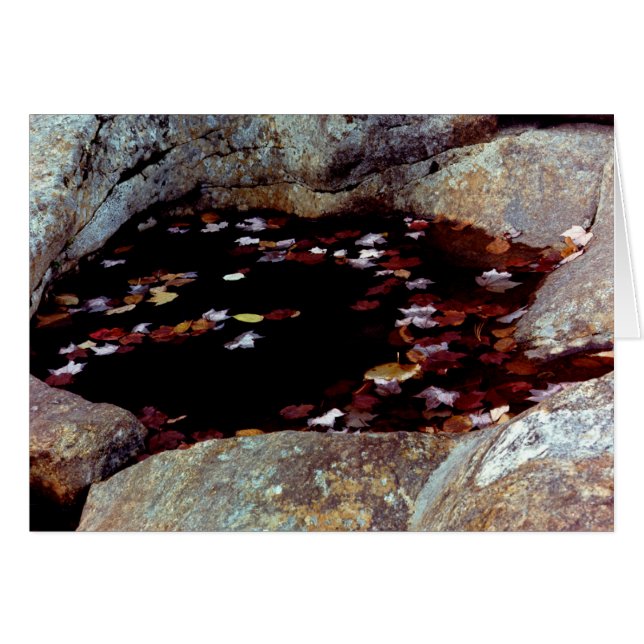 O outono sai num cartão de Piscina (Frente Horizontal)