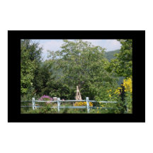 O PAÍS GARDEN poster