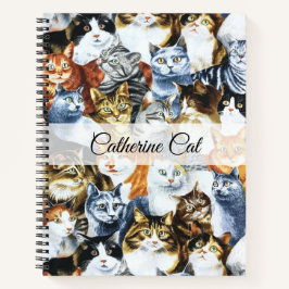 O Palheiro dos GATOS
