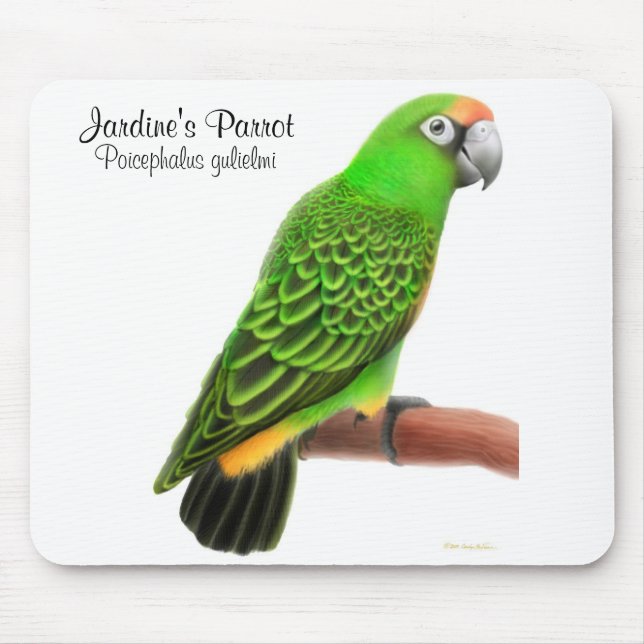 O papagaio Mousepad de Jardine (Frente)