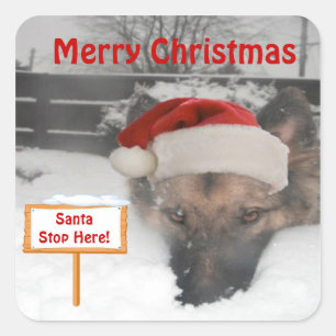 O papai noel do german shepherd da etiqueta para