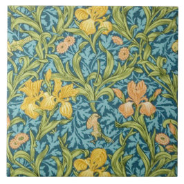 O papel de parede da íris projetou 1887