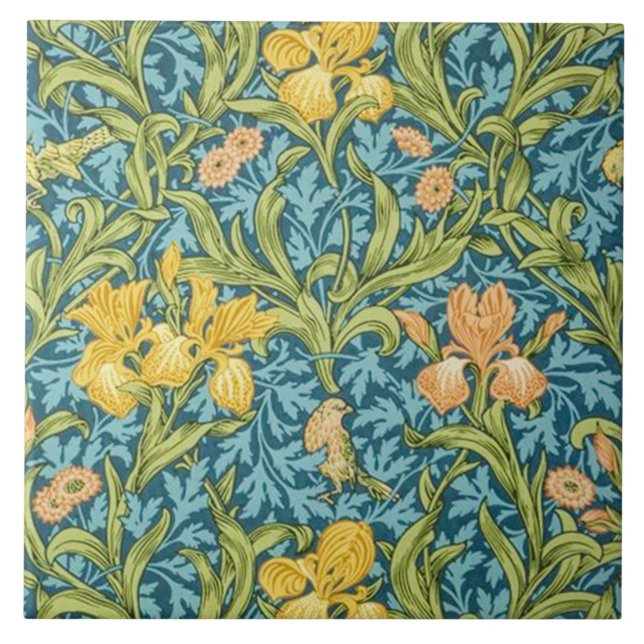 O papel de parede da íris projetou 1887 (Frente)