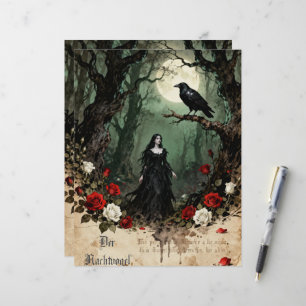 O Papel do Álbum de Recortes do Nightbird