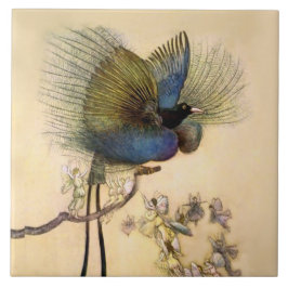 “O Pássaro Mais Bonito” por Warwick Goble