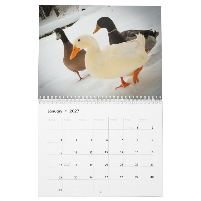 O passeio Ducks o calendário 2015 (Jan 2027)
