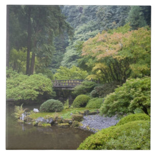 O patamar de rolagem com a ponte de lua