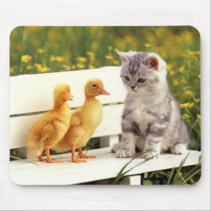 O patinho feio Mousepad